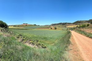 Camino De Santiago: Long Hot Days