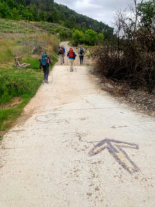 Our Merry Band on Camino De Santiago