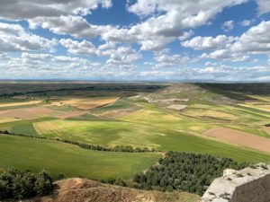 Meseta: Wide open spaces