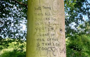 Camino De Santiago: Uplifting Graffiti