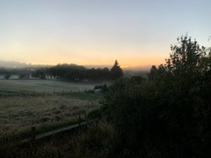 Camino De Santiago: Salceda