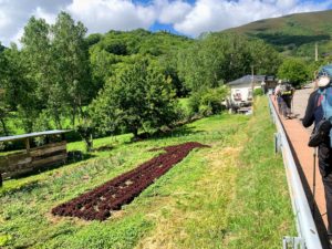 Camino De Santiago: Road to Valcarce